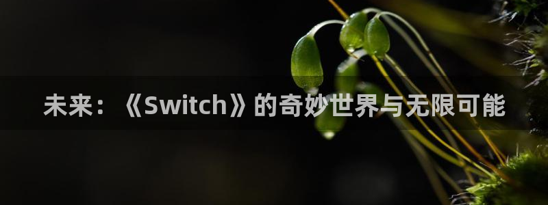 南宫会ktv：未来：《Switch》的奇妙世界与无限可能