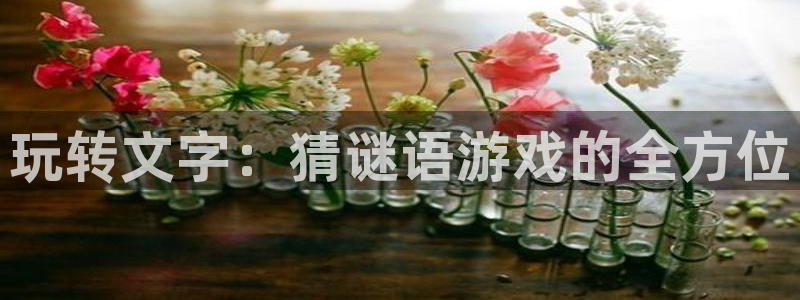 28南宫集团：玩转文字：猜谜语游戏的全方位