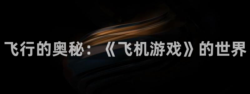 南宫照片：飞行的奥秘：《飞机游戏》的世界