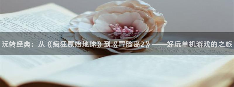 南宫平台可靠吗：玩转经典：从《疯狂原始地球》到《冒险岛2》—