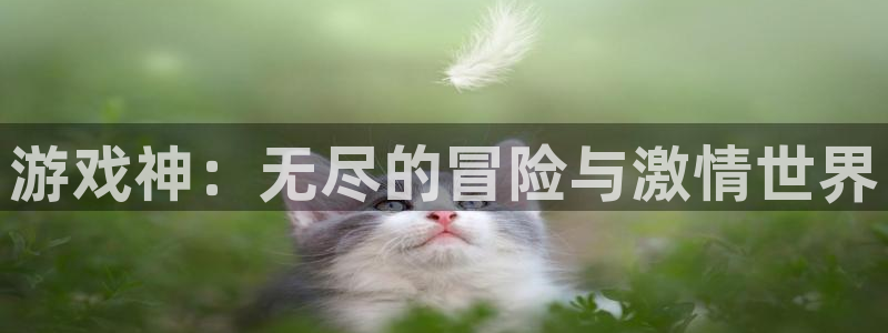 南宫主页面余额大额截图